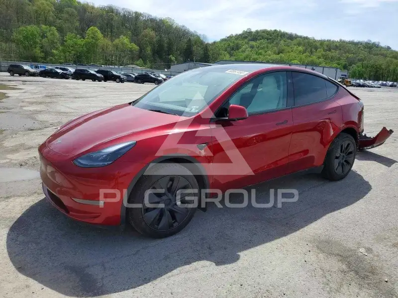 2024 Tesla Model Y фото
