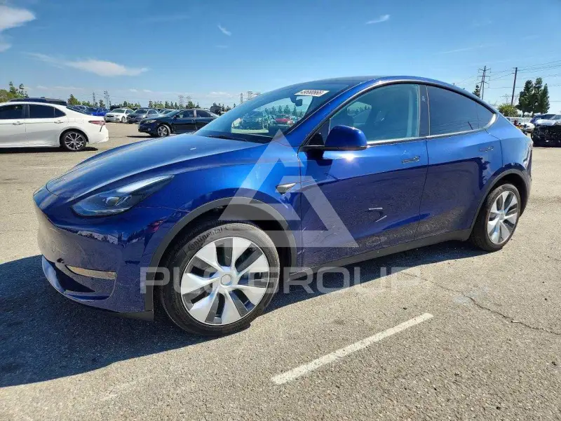 2024 Tesla Model Y photo