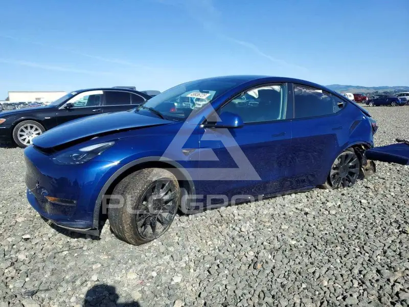 2024 Tesla Model Y фото