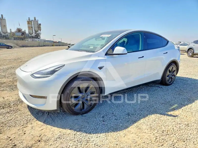 2024 Tesla Model Y фото