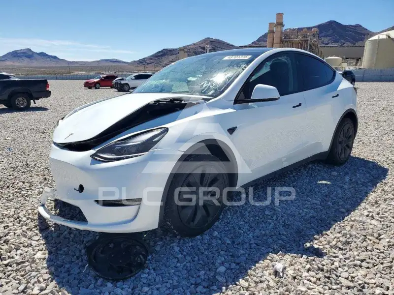 2024 Tesla Model Y фото