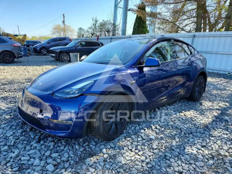 2024 Tesla Model Y photo