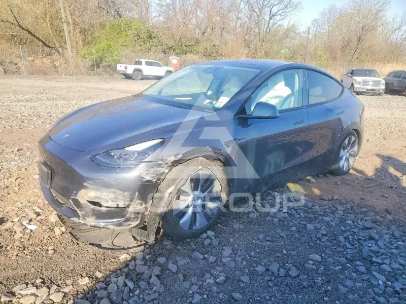 2024 Tesla Model Y photo
