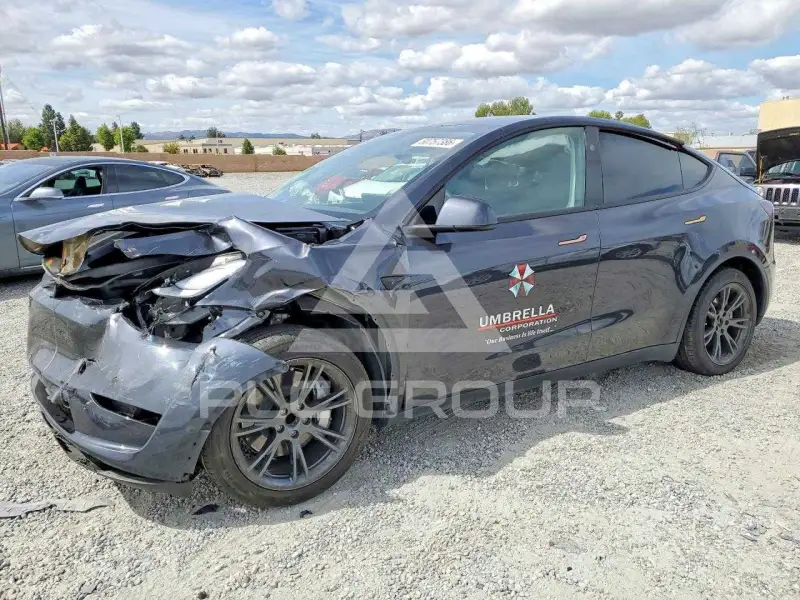2024 Tesla Model Y photo