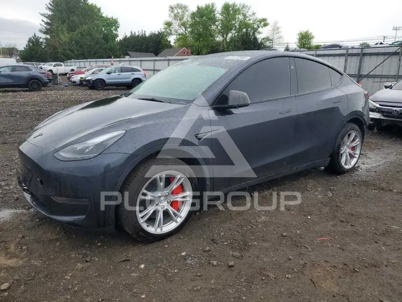 2024 Tesla Model Y фото