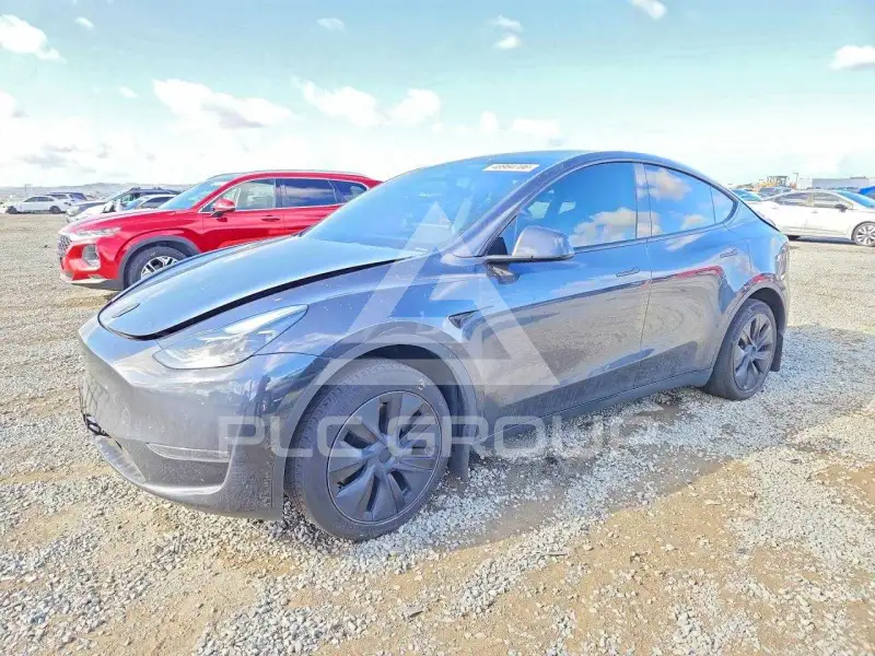 2024 Tesla Model Y фото