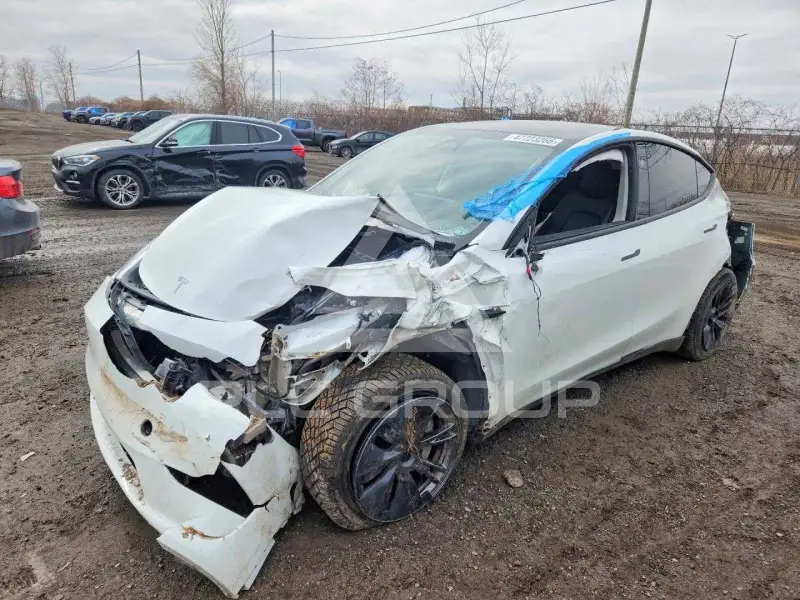 2024 Tesla Model Y фото