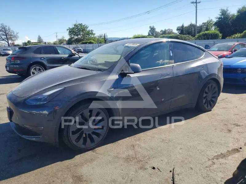 2024 Tesla Model Y фото