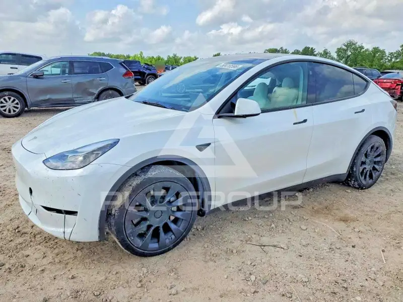 2024 Tesla Model Y фото