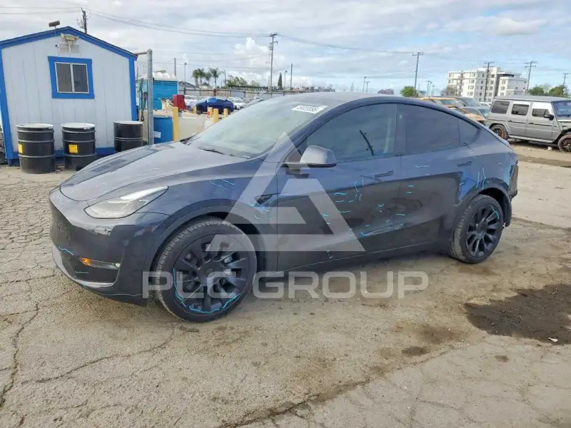 2024 Tesla Model Y photo