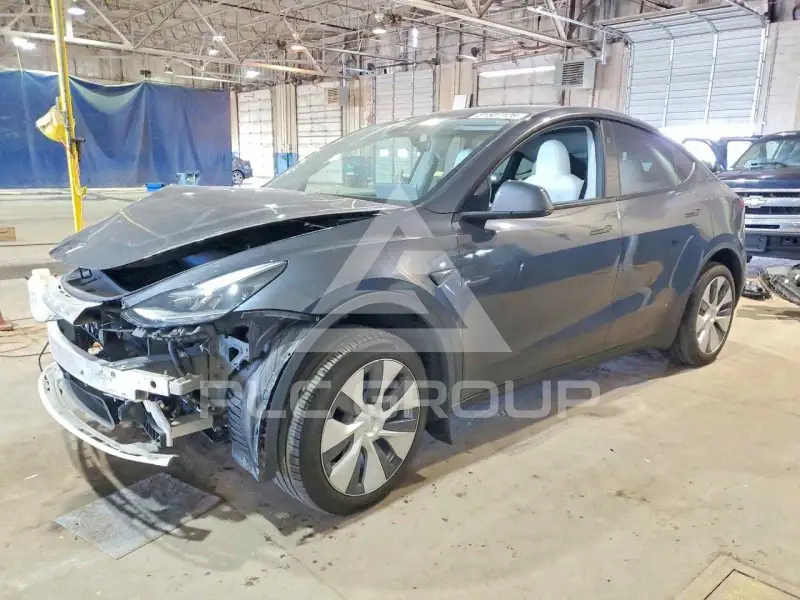 2024 Tesla Model Y photo