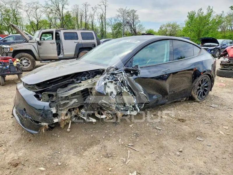 2024 Tesla Model Y фото