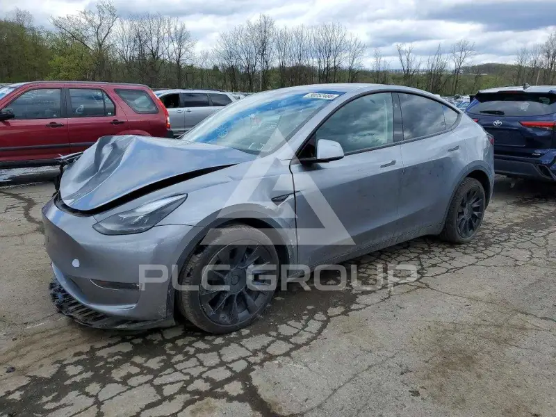 2024 Tesla Model Y фото
