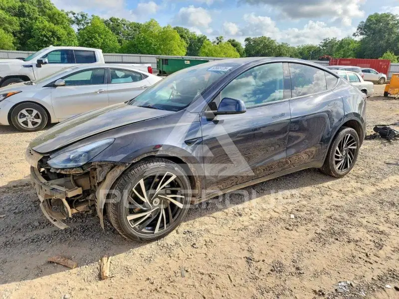 2024 Tesla Model Y photo