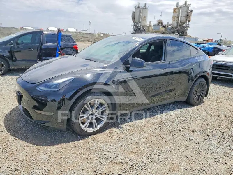 2024 Tesla Model Y photo
