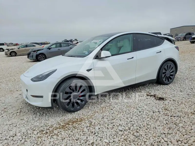2024 Tesla Model Y фото