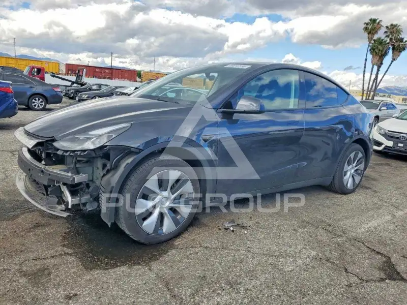 2024 Tesla Model Y фото