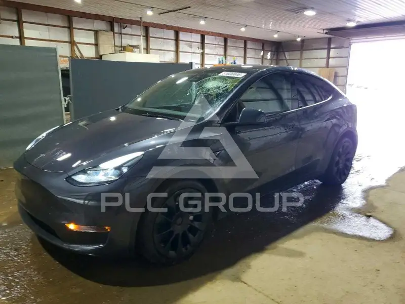 2024 Tesla Model Y фото