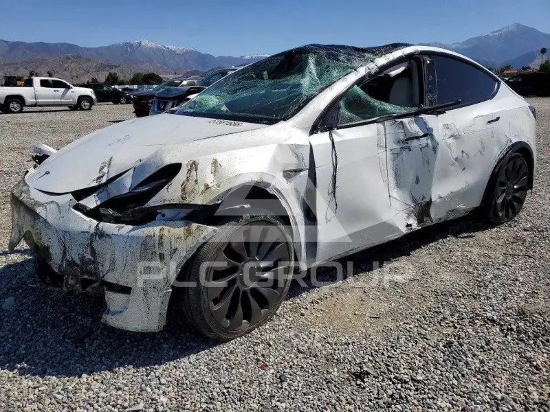 2024 Tesla Model Y фото