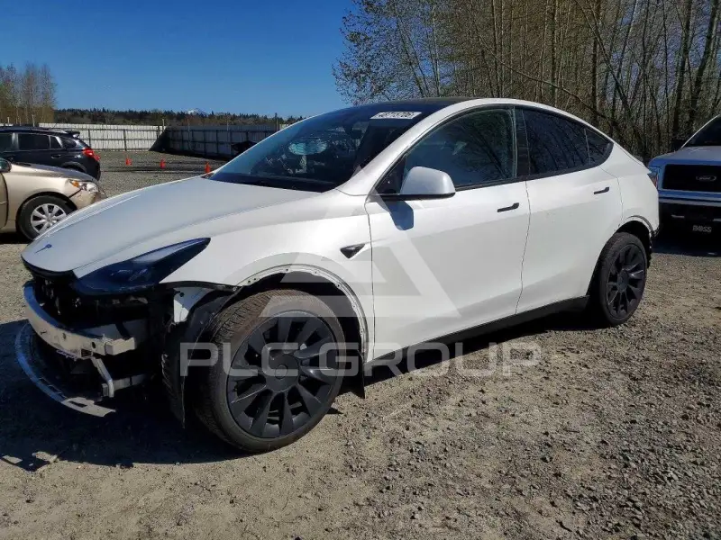2024 Tesla Model Y photo