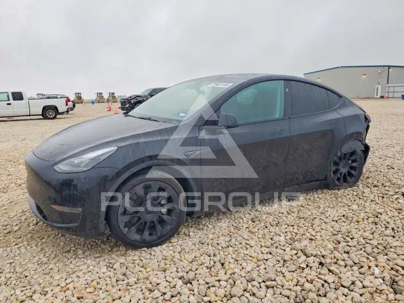 2024 Tesla Model Y фото