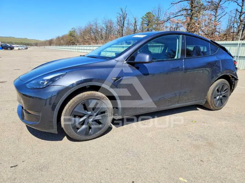 2024 Tesla Model Y photo