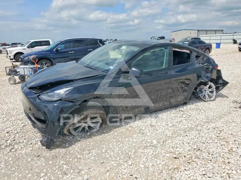 2024 Tesla Model Y фото