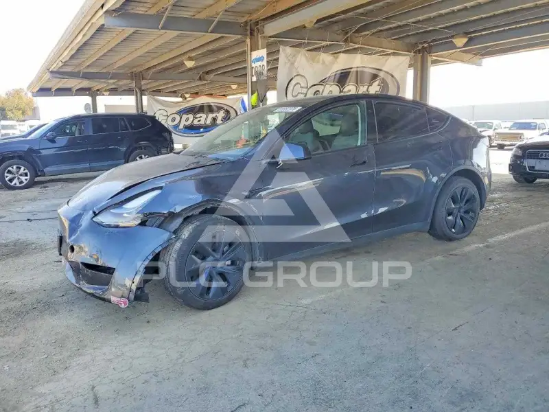 2024 Tesla Model Y фото