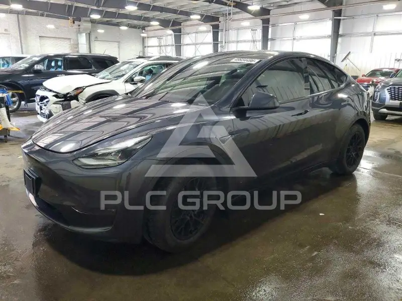 2024 Tesla Model Y photo