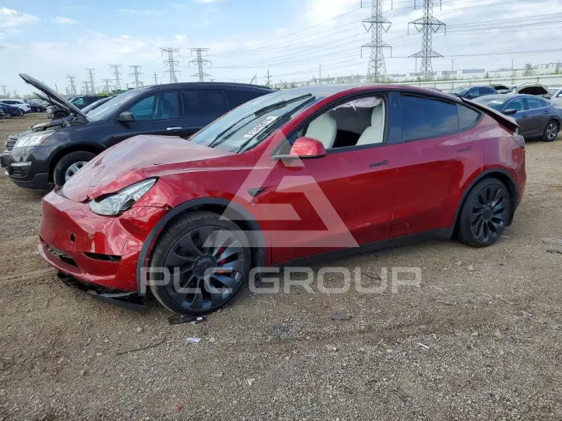 2024 Tesla Model Y photo