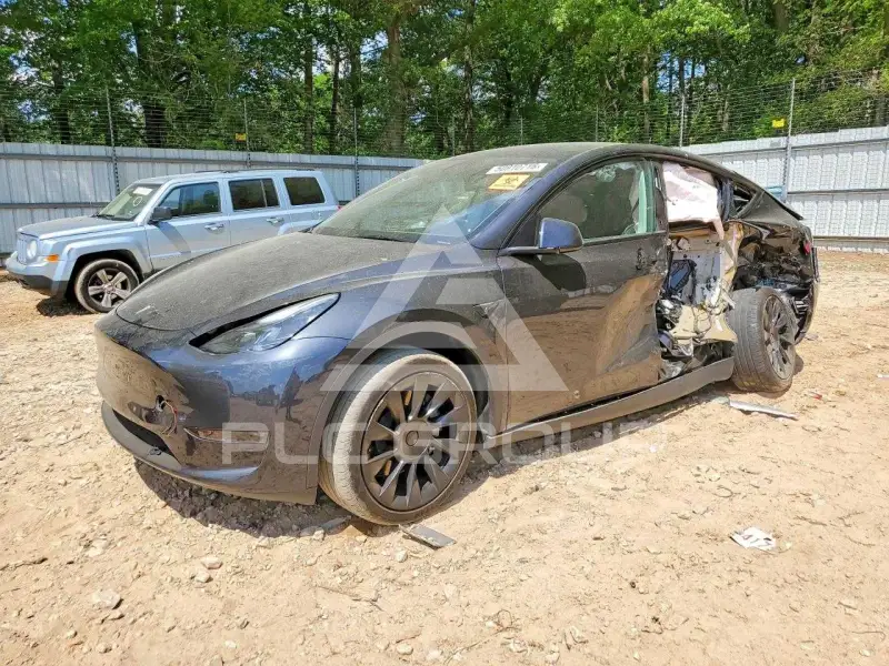 2024 Tesla Model Y photo