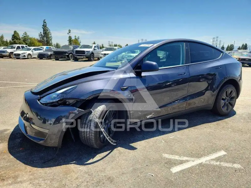 2024 Tesla Model Y photo