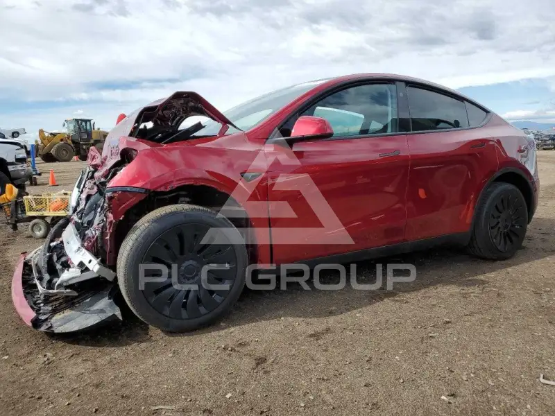2024 Tesla Model Y фото