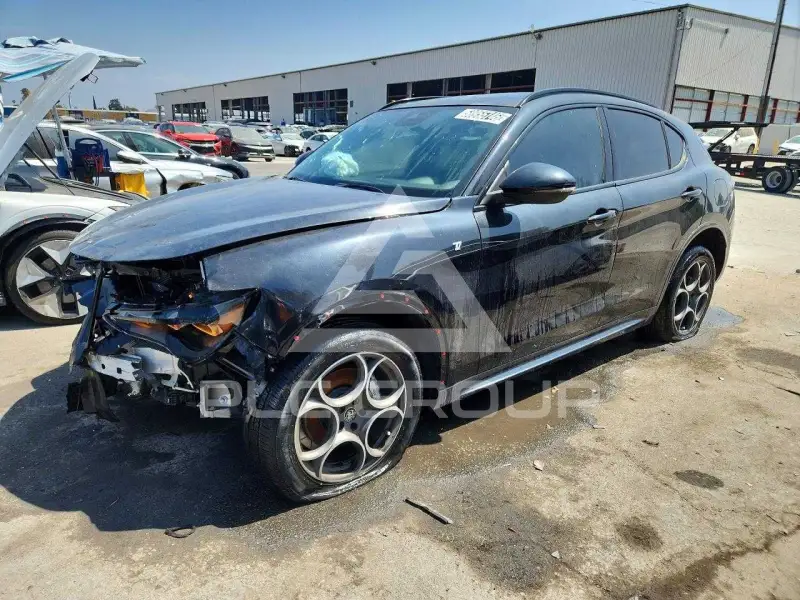2024 Alfa Romeo Stelvio photo