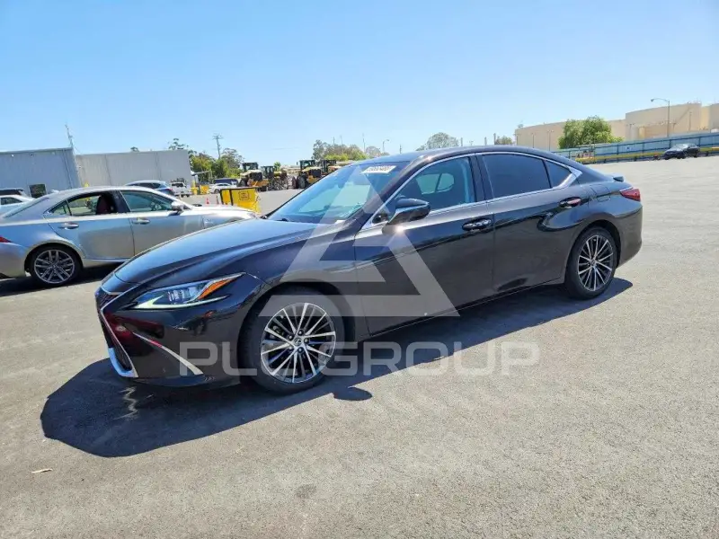 2024 Lexus ES300 photo