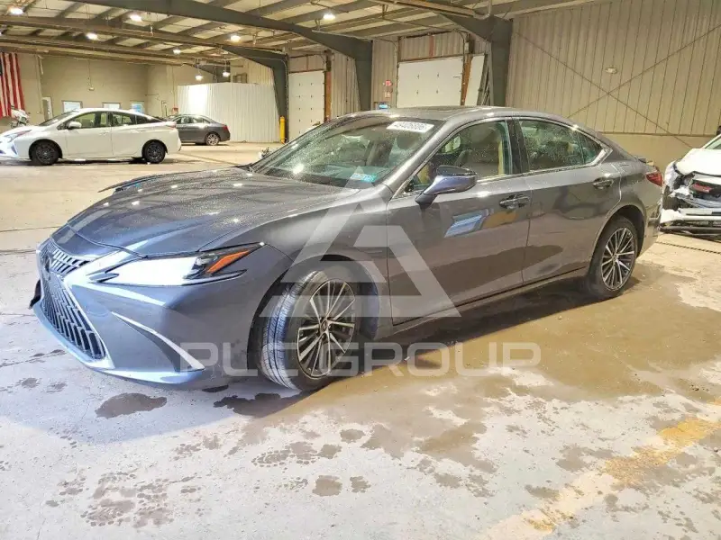 2024 Lexus ES300 photo
