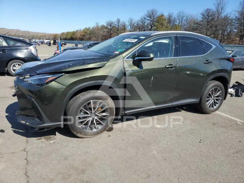 2024 Lexus NX photo
