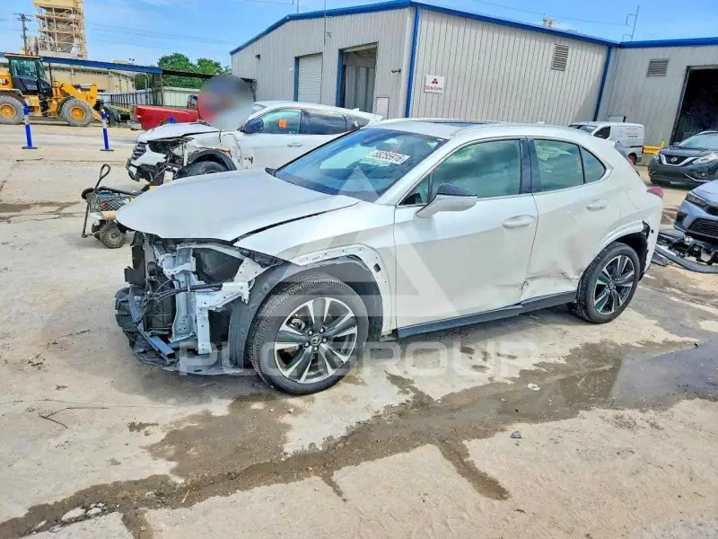 2024 Lexus Other photo