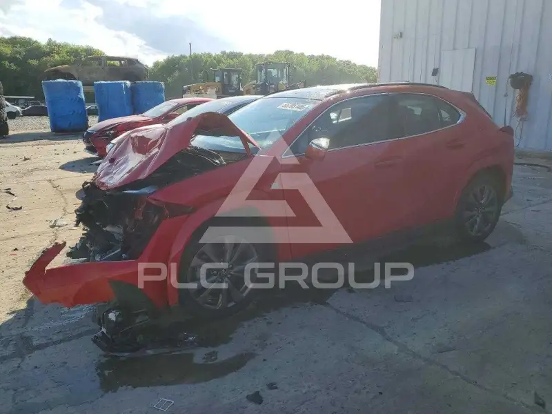 2024 Lexus Other photo