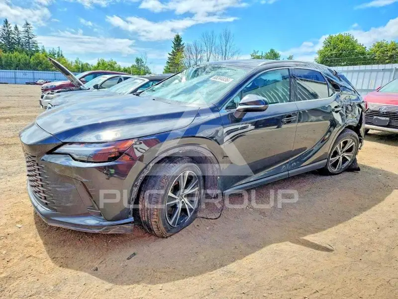 2024 Lexus RX300 photo