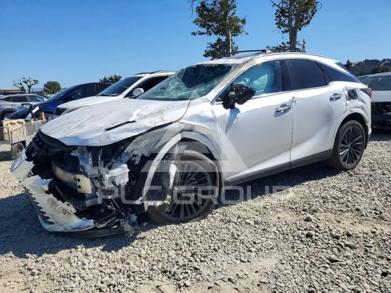 2024 Lexus RX300 photo