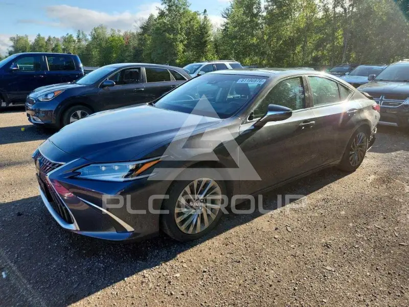 2024 Lexus ES350 фото