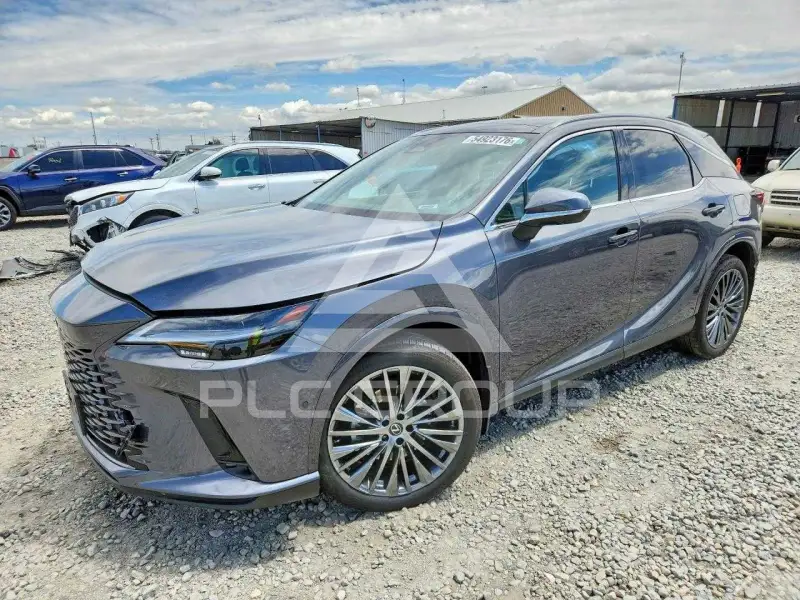 2024 Lexus RX330 фото