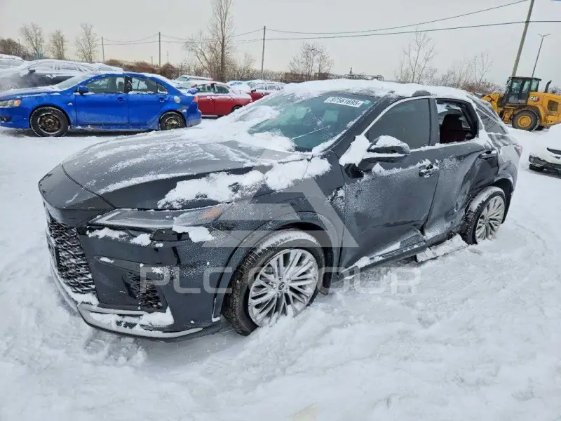 2024 Lexus RX350 фото