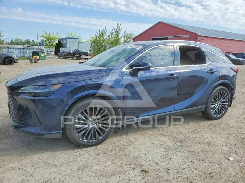 2024 Lexus  photo