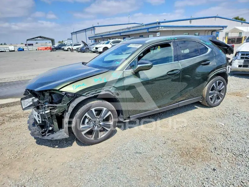 2024 Lexus  photo