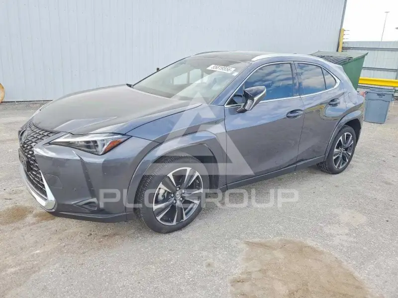 2024 Lexus  фото