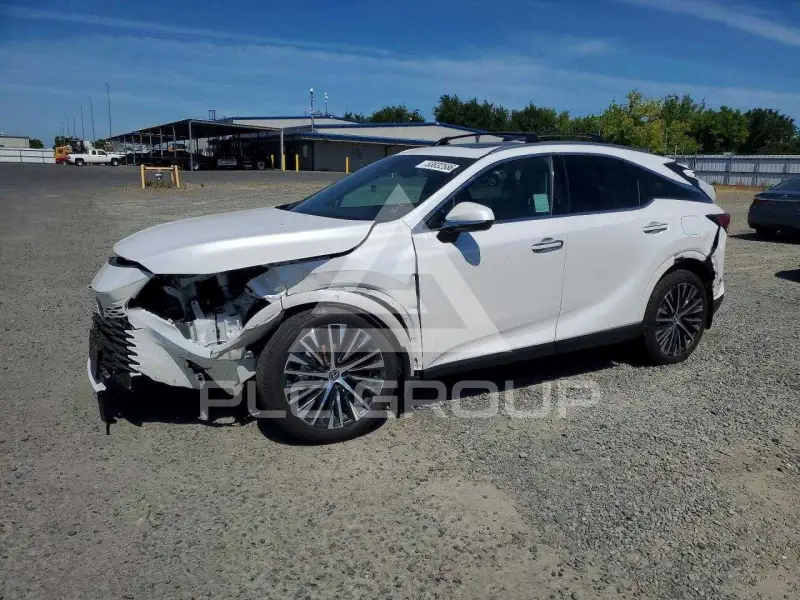 2024 Lexus  photo