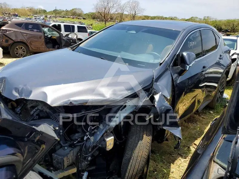 2024 Lexus  фото
