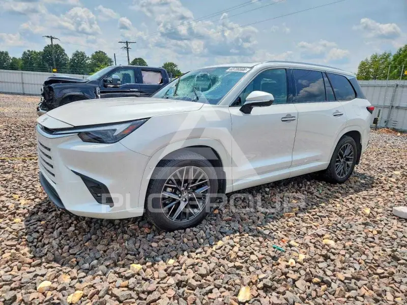 2024 Lexus Tx photo